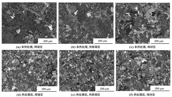 圖２ 熱處理前后焊接接頭焊縫區(qū)、熱影響區(qū)和母材區(qū)的取向成像圖