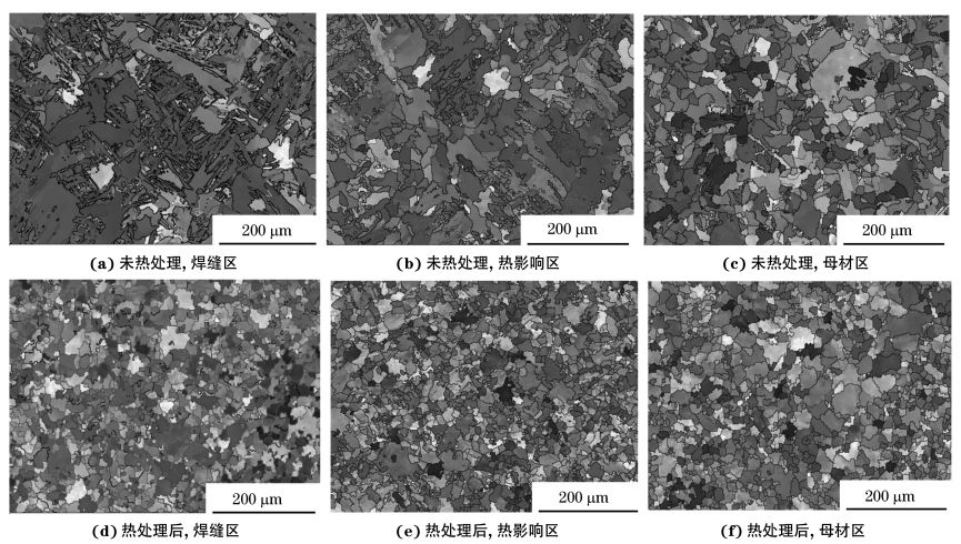圖２ 熱處理前后焊接接頭焊縫區(qū)、熱影響區(qū)和母材區(qū)的取向成像圖